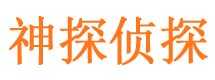 台山市调查公司